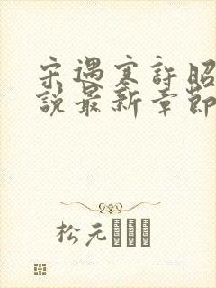 宋遇寒许昭宁小说最新章节免费阅读