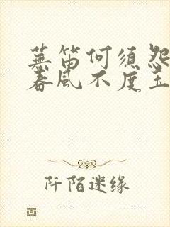 芜笛何须怨杨柳春风不度玉门关 是什么意思