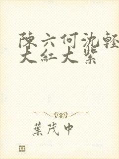 陈六何沈轻舞 大红大紫