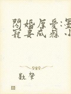 闪婚厚爱:墨少宠妻成瘾 小说