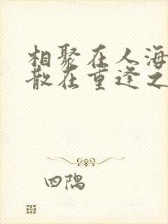 相聚在人海,聚散在重逢之外,是什么歌