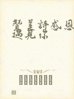 赞美诗感恩今生遇见你