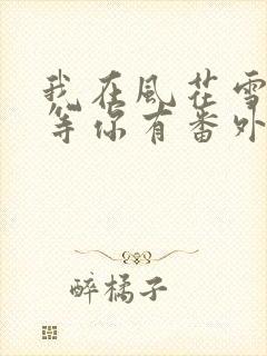 我在风花雪月里等你有番外吗
