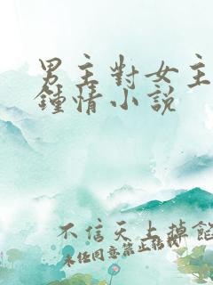 男主对女主一见钟情小说