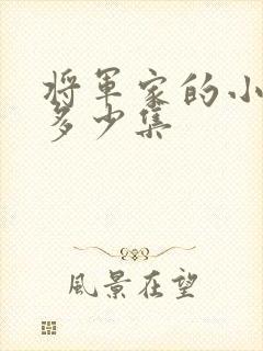 将军家的小娘子多少集