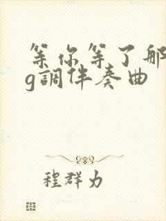 等你等了那么久g调伴奏曲