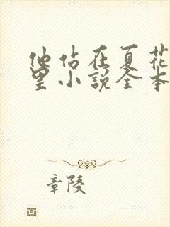 他站在夏花绚烂里小说全本下载