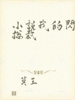 小说我的闪婚女总裁