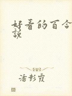 好看的百合轻小说