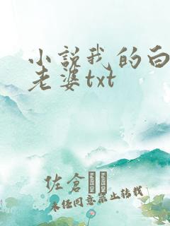 小说我的白富美老婆txt