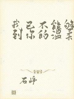 我已不能够再见到你的温柔是什么歌