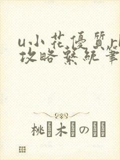 u小花优质rb攻略系统笔趣阁