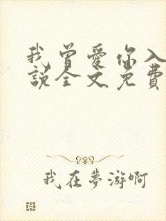 我曾爱你入骨小说全文免费阅读