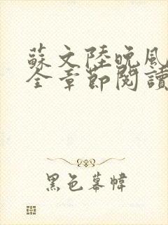 苏文陆晚风小说全章节阅读