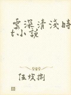 云深清浅时txt小说