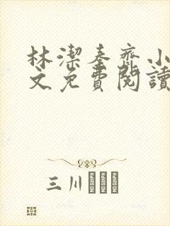 林洁秦齐小说全文免费阅读最新章节