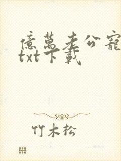 亿万老公宠上瘾txt下载