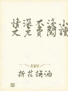 情深不浅小说全文免费阅读