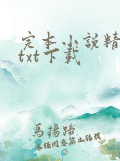 完本小说精校版txt下载