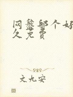 网盘那个好用永久免费