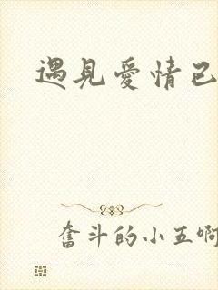 遇见爱情已什么