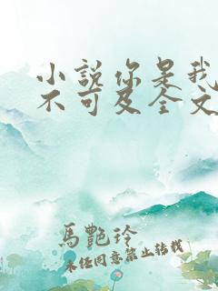 小说你是我的遥不可及全文免费阅读