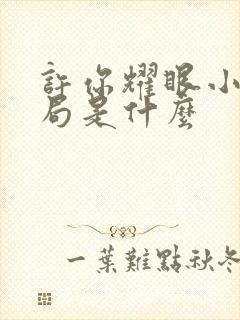 许你耀眼小说结局是什么