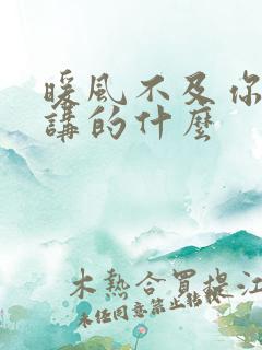 暖风不及你情深讲的什么