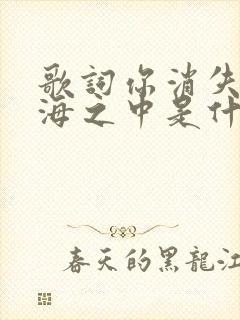 歌词你消失在人海之中是什么歌