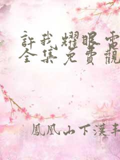 许我耀眼电视剧全集免费观看16集