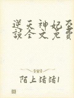 逆天神妃至上小说全文免费阅读无弹窗