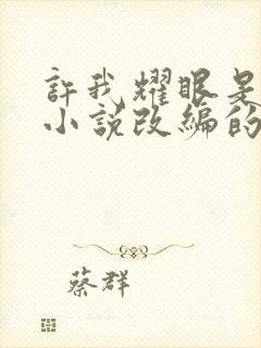 许我耀眼是什么小说改编的