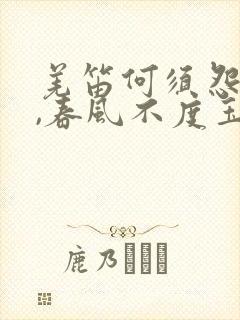 羌笛何须怨杨柳,春风不度玉门关什么意思