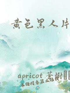 黄色黑人片