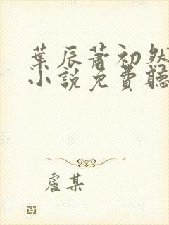 叶辰萧初然有声小说免费听