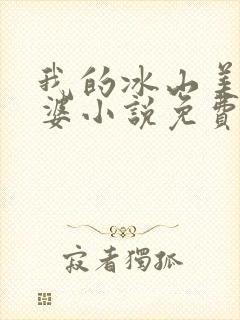我的冰山美女老婆小说免费阅读