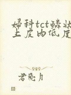 妇科tct鳞状上皮内低度病变是什么意思