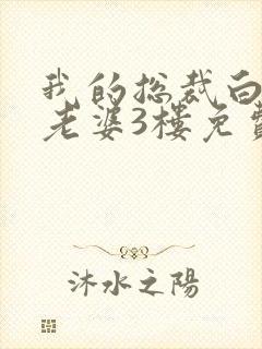 我的总裁白富美老婆3楼免费下载