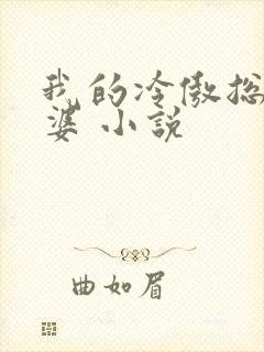 我的冷傲总裁老婆 小说