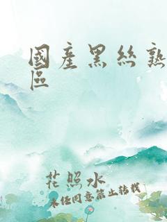 国产黑丝熟女一区