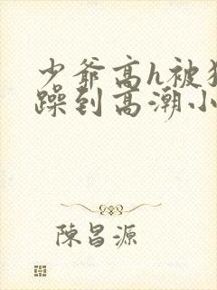 少爷高h被狂c躁到高潮小说