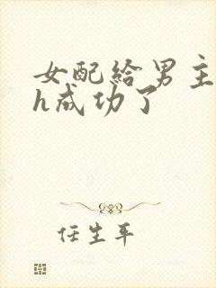 女配给男主下药h成功了