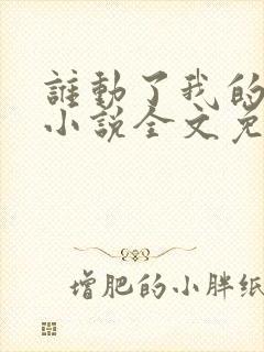 谁动了我的老婆小说全文免费阅读一