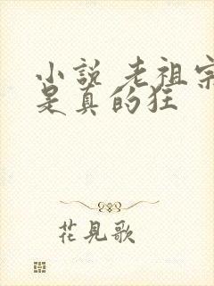 小说 老祖宗她是真的狂