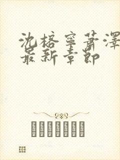 沈榕宁萧泽小说最新章节