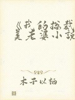 《我的总裁白富美老婆小说》