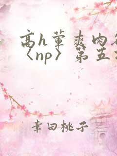 高h荤爽肉欲文〈np〉第五次