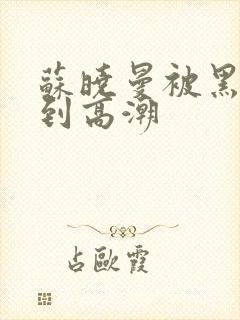 苏晓曼被黑人玩到高潮