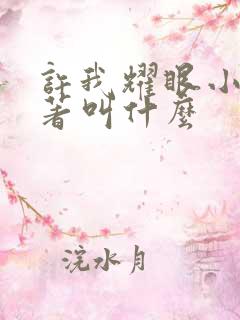 许我耀眼小说原著叫什么