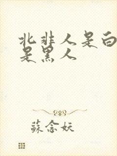 北非人是白人还是黑人